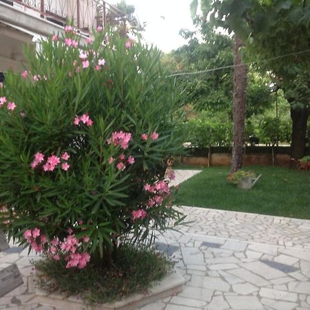 פורץ Vila Alma מראה חיצוני תמונה