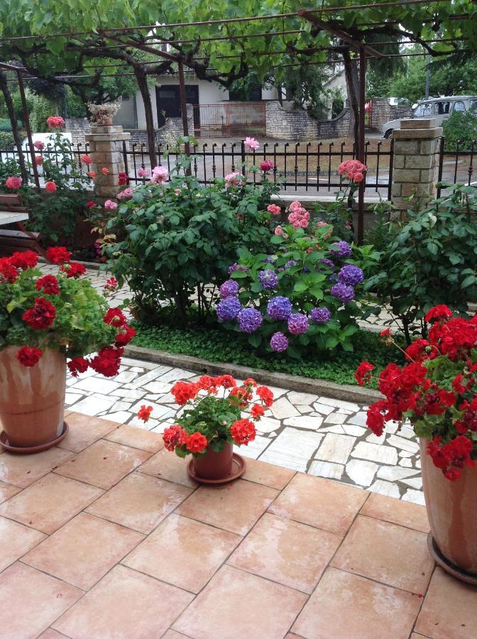 פורץ Vila Alma מראה חיצוני תמונה